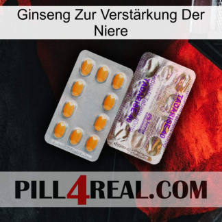 Ginseng Zur Verstärkung Der Niere new12